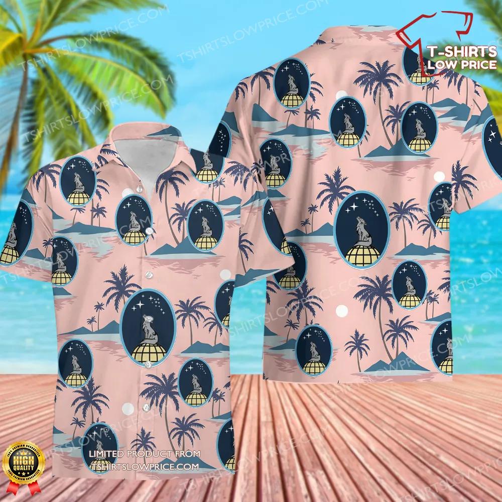 US Air Force 13th Delta Operations Squadron Hawaiian Shirt US Air Force 13th Delta Operations Squadron Hawaiian Shirt